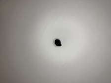 Sennheiser Momentum True