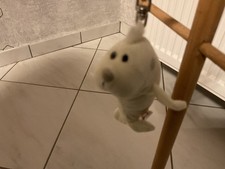 Nici , Schlüsselanhänger , Robbe 10 cm
