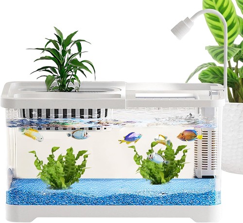 Kleines betta fischbecken - kleines, mit