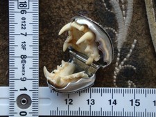 Charivari Anhänger Fassung 835er Silber schönes großes Mardergebiss klappbar