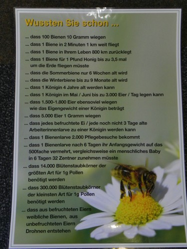 Poster wußten sie schon - poster,