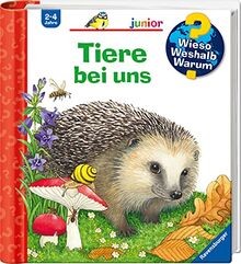 Wieso weshalb warum junior - wieso?, weshalb?