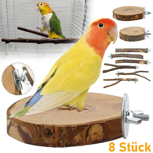 Vogelspielzeug