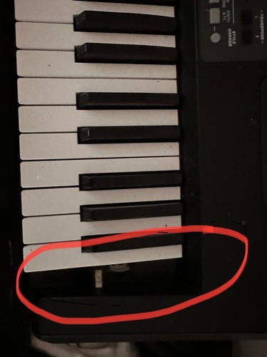 Korg pa600 orintal - korg,