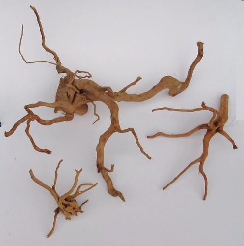Spiderwood nano bis 10cm - spiderwood,