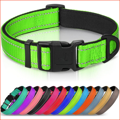 Halsband hund gepolstert - hund,