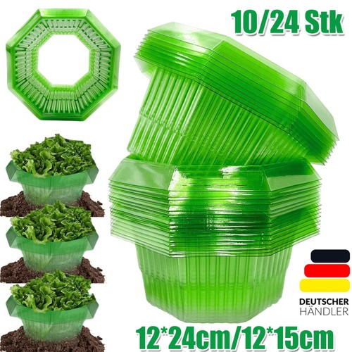 Schneckenkragen