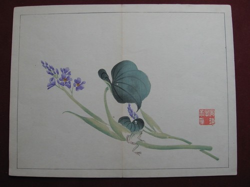 Nishiyama kan lotus - lotus, &