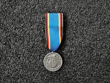 (S1-191) Deutschland Fluthilfe 2002 Fluthelfer Hochwasser Miniatur Orden