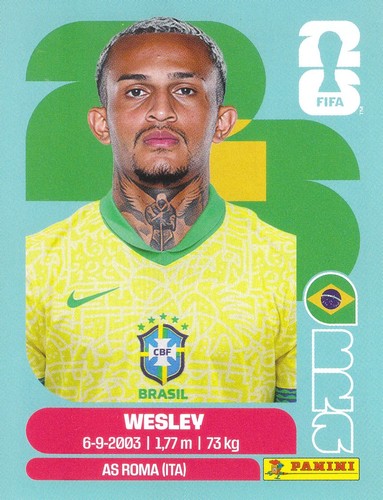 Wesley verteidiger brasilien - wesley,
