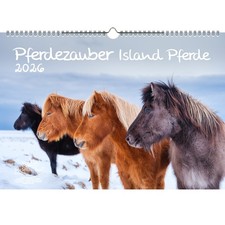 Pferdezauber Island Pferde DIN