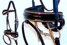 FSS STELLAR Curve U TOPAS