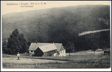 SCHELLERAU b. Altenberg Sachsen Erzgebirge ~1910/20 Bau Der Lindenhof Bauernhof