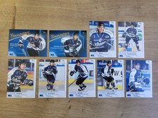 Schwenninger Wild Wings 9 DEL Karten von City-Press Eishockey