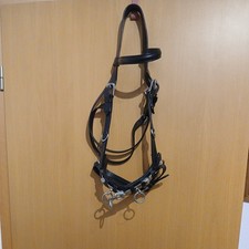 Kappzaum, Longierhalfter