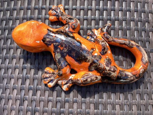 Salamander groß gecko - -,