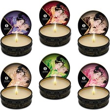 (282,5€/L) 2x SHUNGA