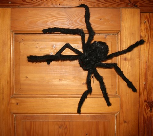 Xxl riesen spinne - riesen,