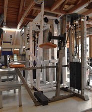 gym80 Donkey Calf