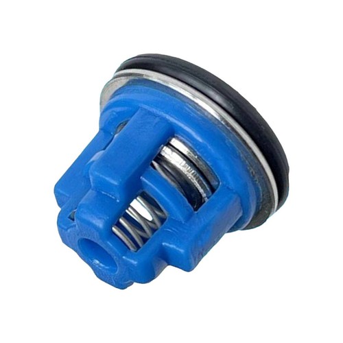 Check valve with ring - valve,