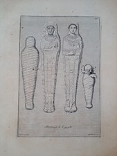 Mumien für Ägypten, Recueil