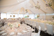 Voile stoff meterware - voile, /
