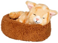 Schlafende Katze Chloe im