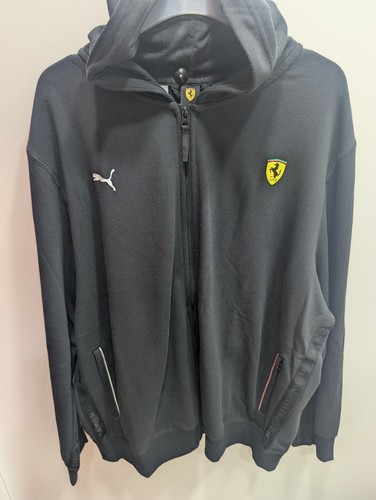 Schwarz puma ferrari - ferrari, race