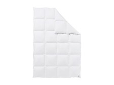 HÄUSSLING Daunen-Kassettenbettdecke, (160 x 200 cm) - B-Ware sehr gut 