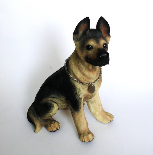 Süsser schäferhund sehr - süsser, schäferhund,