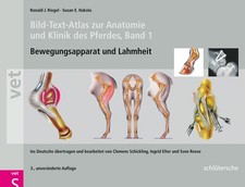 Bild-Text-Atlas zur Anatomie