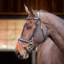 Shires velociti rapida - shires,