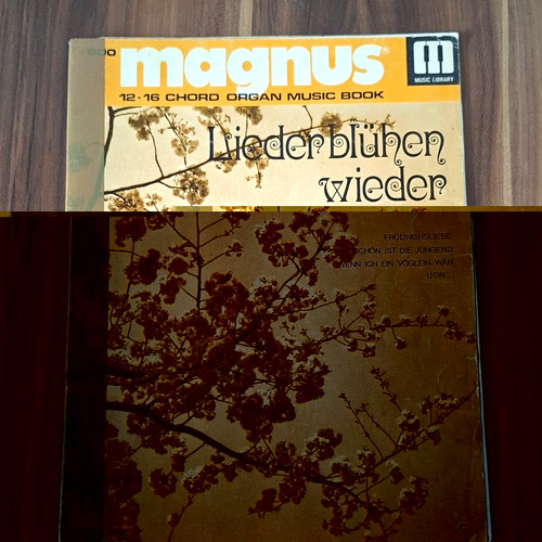 Magnus chord organ - chord,