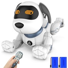 Ferngesteuerte Roboter Hund
