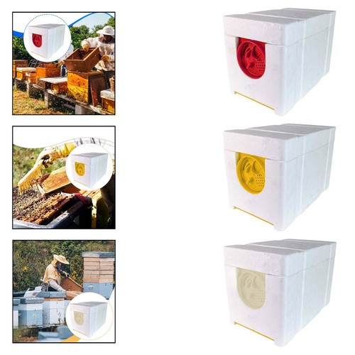 Bienenkönigin-Brutkasten