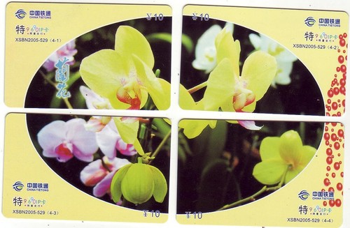 Orchidee/Coca
