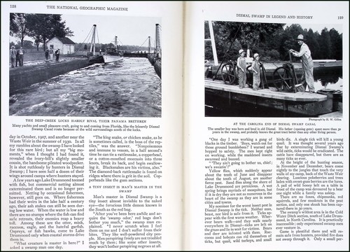 Dismal swamp legend and - dismal,