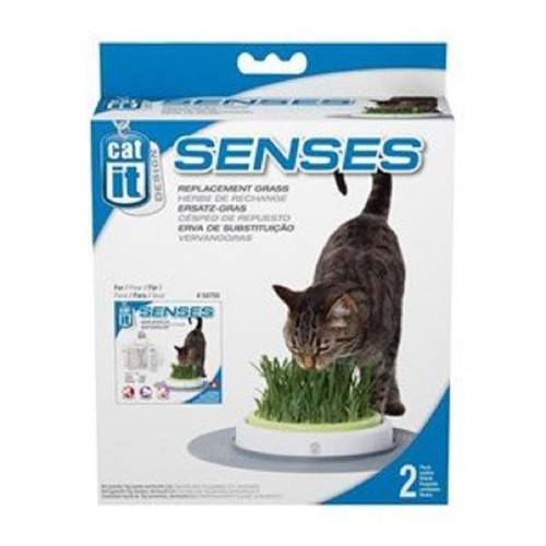 Katzengras nachfüllpack 2er - katzengras,