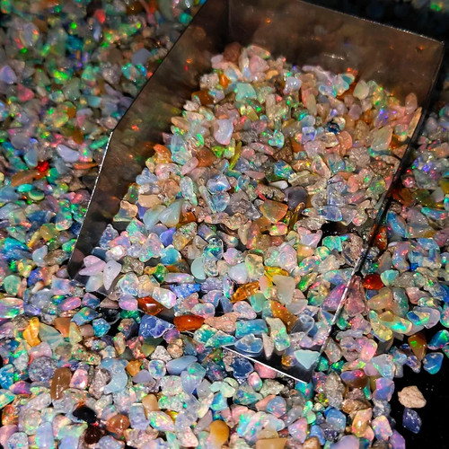 Dry opal roh 250 stk - 250, lot