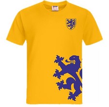 T-Shirt Stadt Braunschweig mit