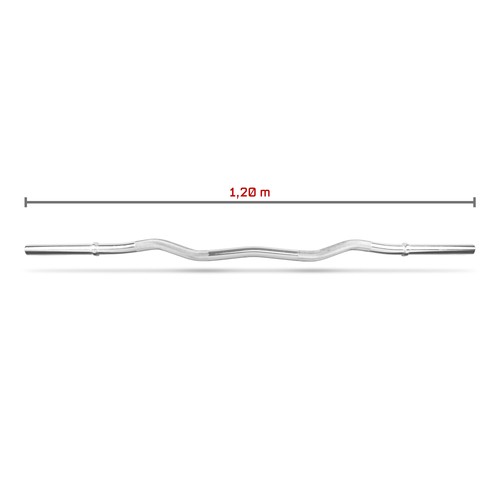 Curved langhantelstange 120 - langhantelstange, cm