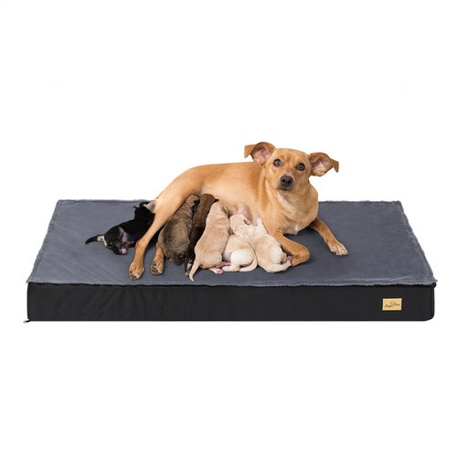Hundebett xxl hundekissen - hundebett,