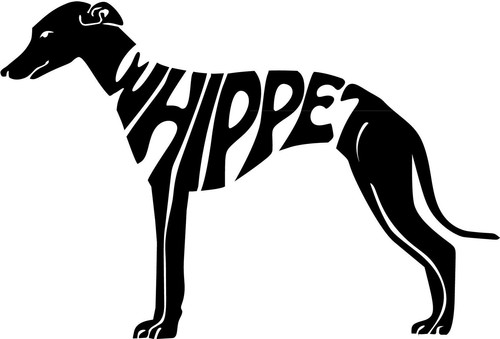 Whippet autoaufkleber - whippet,