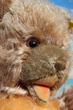 original Steiff-Teddy  ein