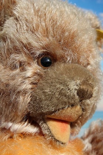 Original steiff teddy ein - steiff-teddy,