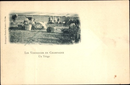 Marne die weinlese - ak, der