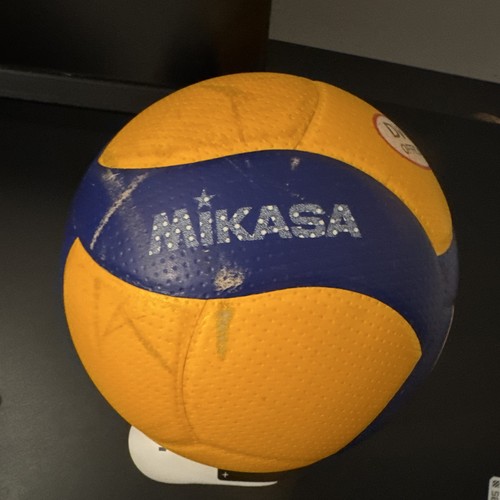 Mikasa v200w volleyball ball - mikasa,