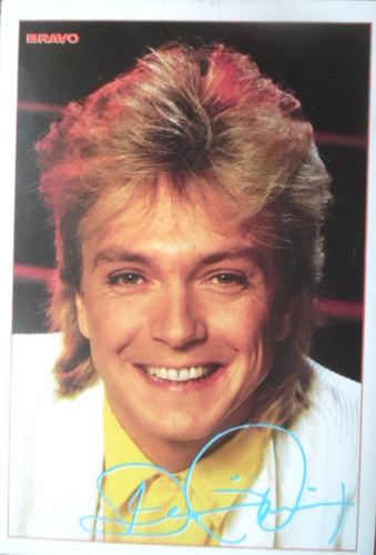 David cassidy bravo - bravo,