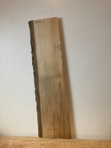 Nussbaum deutsch 21 mm - -,