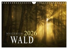 Mysterium Wald (Wandkalender